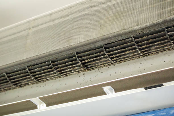 Best Commercial Air Duct Cleaning  in East Pepperell, MA